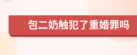 包二奶触犯了重婚罪吗