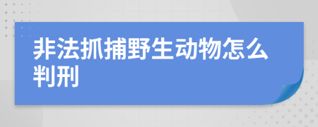 非法抓捕野生动物怎么判刑