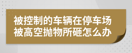 被控制的车辆在停车场被高空抛物所砸怎么办