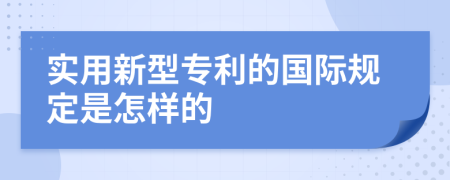 实用新型专利的国际规定是怎样的