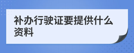 补办行驶证要提供什么资料