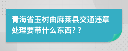 青海省玉树曲麻莱县交通违章处理要带什么东西? ?