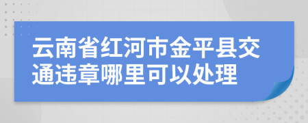 云南省红河市金平县交通违章哪里可以处理