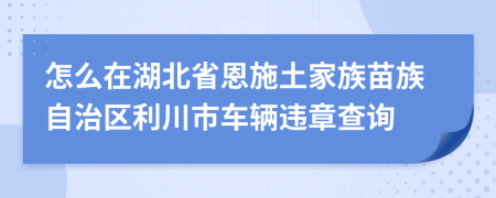 怎么在湖北省恩施土家族苗族自治区利川市车辆违章查询