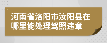 河南省洛阳市汝阳县在哪里能处理驾照违章