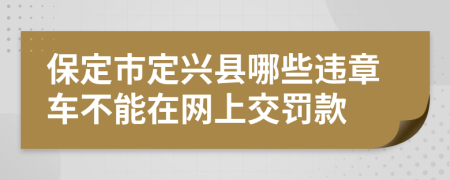 保定市定兴县哪些违章车不能在网上交罚款