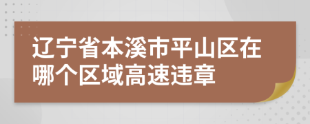 辽宁省本溪市平山区在哪个区域高速违章