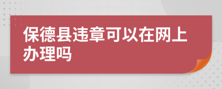 保德县违章可以在网上办理吗