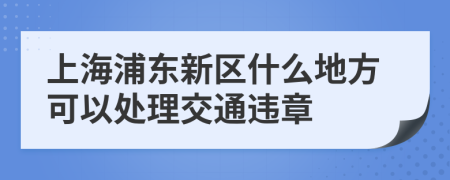 上海浦东新区什么地方可以处理交通违章