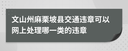 文山州麻栗坡县交通违章可以网上处理哪一类的违章