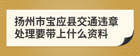 扬州市宝应县交通违章处理要带上什么资料