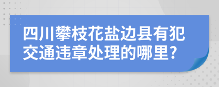 四川攀枝花盐边县有犯交通违章处理的哪里?