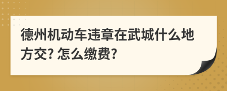 德州机动车违章在武城什么地方交? 怎么缴费?