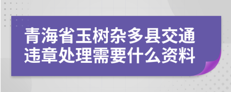 青海省玉树杂多县交通违章处理需要什么资料