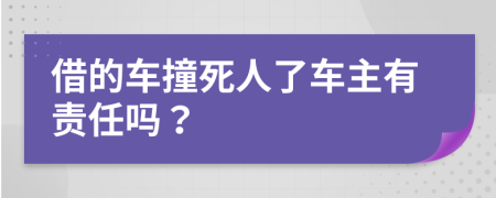 借的车撞死人了车主有责任吗？