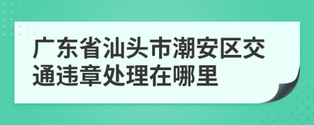 广东省汕头市潮安区交通违章处理在哪里