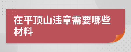 在平顶山违章需要哪些材料