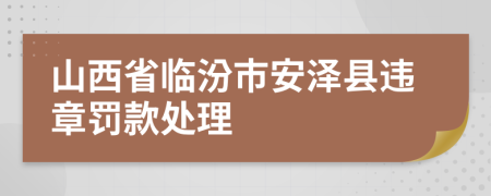 山西省临汾市安泽县违章罚款处理