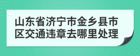 山东省济宁市金乡县市区交通违章去哪里处理