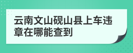 云南文山砚山县上车违章在哪能查到