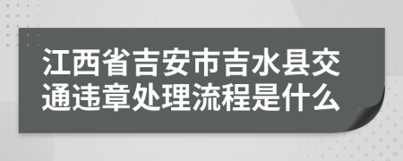 江西省吉安市吉水县交通违章处理流程是什么