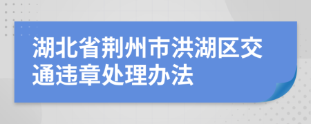 湖北省荆州市洪湖区交通违章处理办法