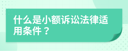 什么是小额诉讼法律适用条件？