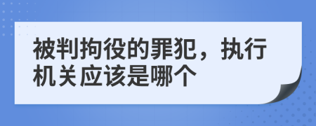 被判拘役的罪犯，执行机关应该是哪个