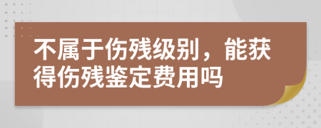 不属于伤残级别，能获得伤残鉴定费用吗