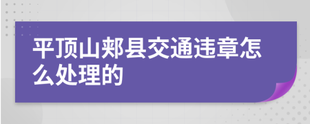 平顶山郏县交通违章怎么处理的