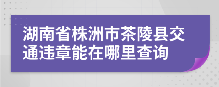 湖南省株洲市茶陵县交通违章能在哪里查询