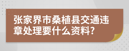 张家界市桑植县交通违章处理要什么资料?