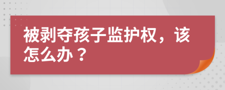 被剥夺孩子监护权，该怎么办？