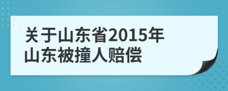 关于山东省2015年山东被撞人赔偿