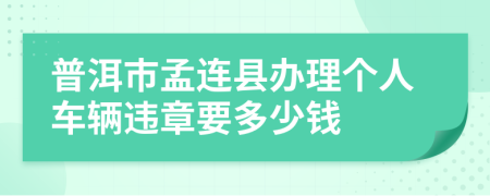 普洱市孟连县办理个人车辆违章要多少钱