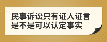 民事诉讼只有证人证言是不是可以认定事实