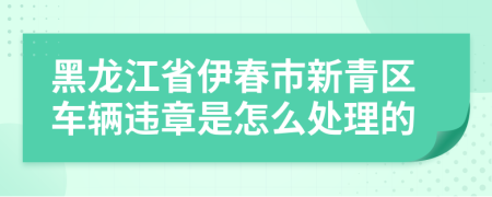 黑龙江省伊春市新青区车辆违章是怎么处理的