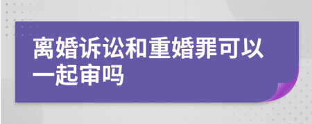 离婚诉讼和重婚罪可以一起审吗