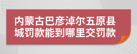 内蒙古巴彦淖尔五原县城罚款能到哪里交罚款