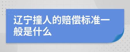 辽宁撞人的赔偿标准一般是什么