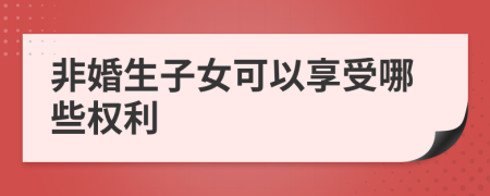 非婚生子女可以享受哪些权利