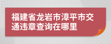 福建省龙岩市漳平市交通违章查询在哪里