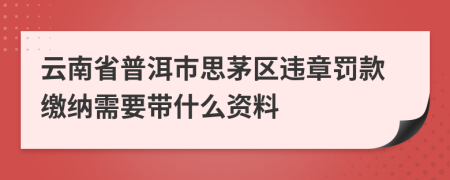 云南省普洱市思茅区违章罚款缴纳需要带什么资料