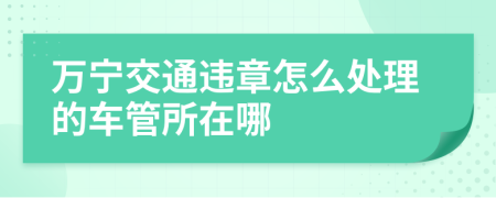 万宁交通违章怎么处理的车管所在哪