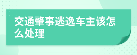 交通肇事逃逸车主该怎么处理