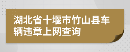 湖北省十堰市竹山县车辆违章上网查询