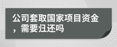 公司套取国家项目资金，需要归还吗