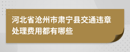 河北省沧州市肃宁县交通违章处理费用都有哪些