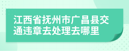 江西省抚州市广昌县交通违章去处理去哪里