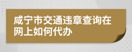 咸宁市交通违章查询在网上如何代办